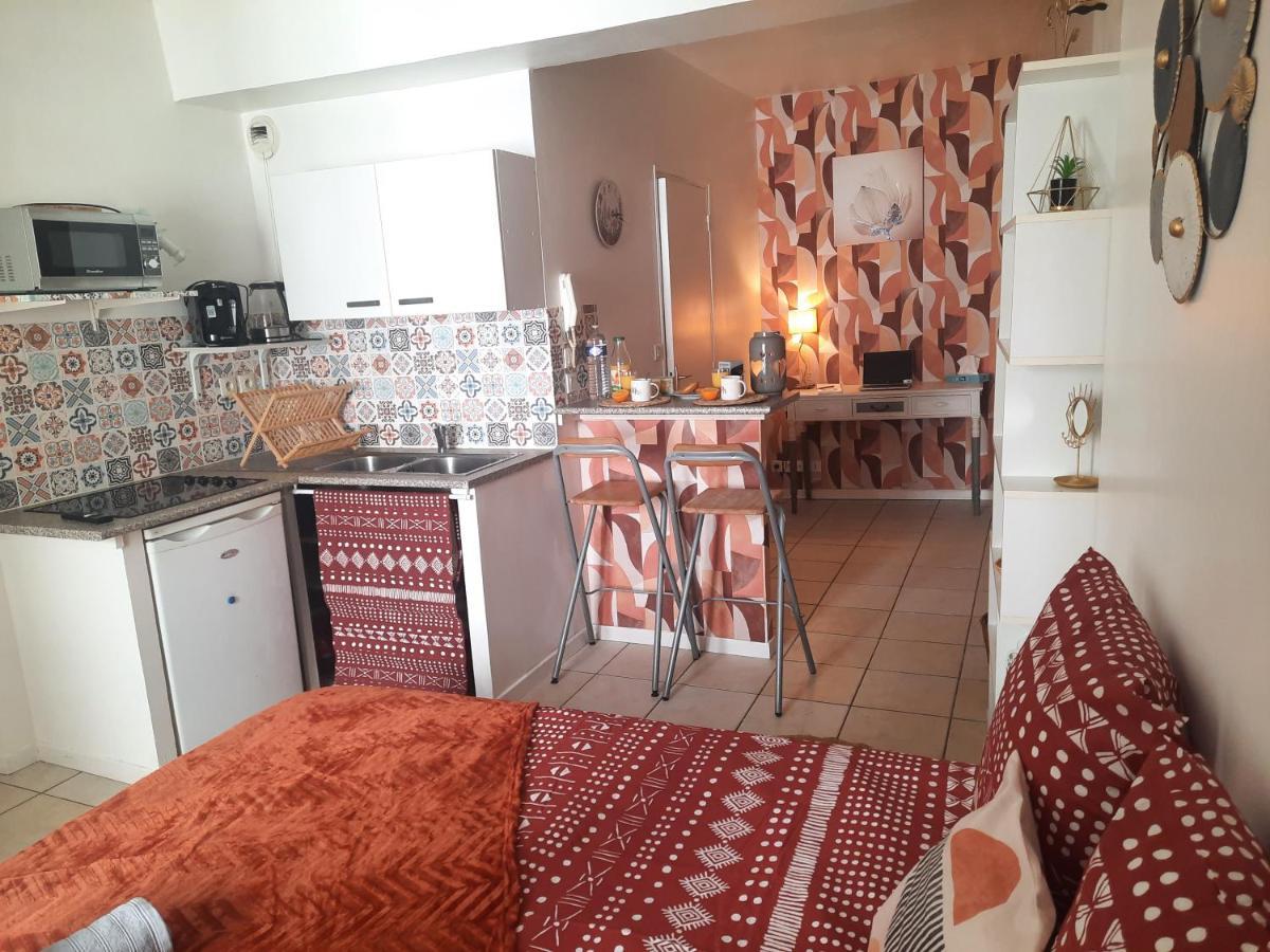 Le Terracotta Appartement Orléans Buitenkant foto